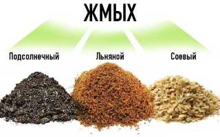 Ловим карпа, сазана и карася на макуху