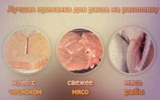 Раколовка – как правильно ловить раков