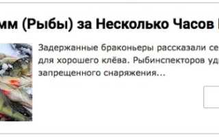Рыбные места в Коми