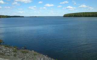 Прогноз клёва рыбы в городе Касли