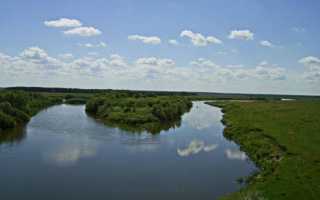 Ловим все