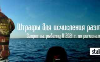 Запрет на рыбалку в 2021 году вскоре вступит в силу