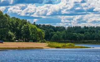 Ижора: рыбалка и какая рыба водится