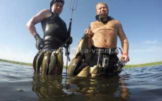 Как охотиться под водой по правилам в России
