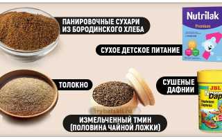 Зимний прикорм: опасно ли перекормить рыбу