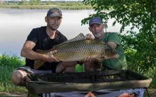 Прогноз клёва рыбы в деревне Карамышево