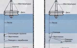 Особенности рыбалки на щуку кружками