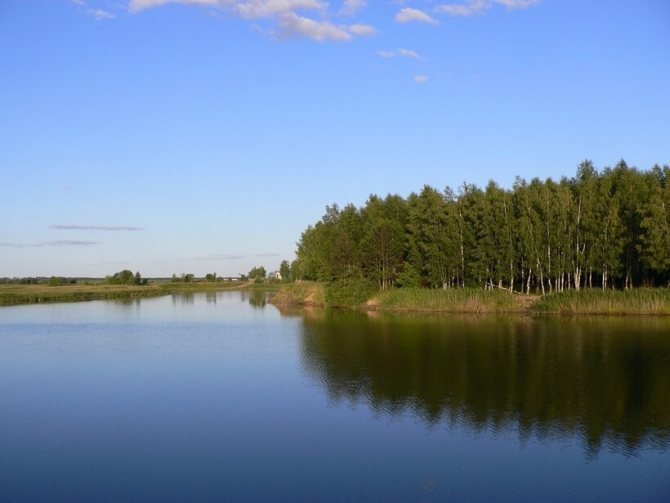 Чистые воды Мокши