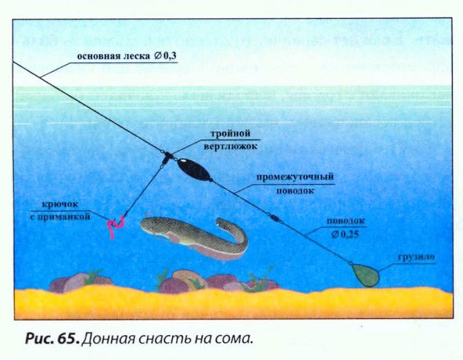 Донная снасть на сома