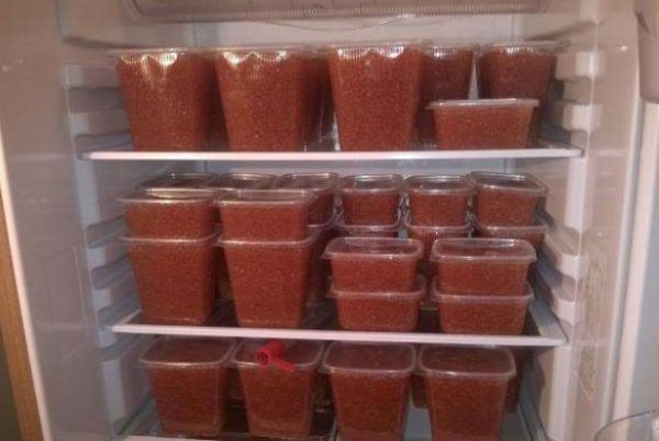 Хранение икры в пластиковой банке