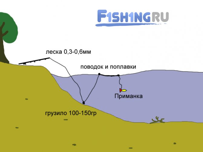 Ловля сома на спиннинг с берега