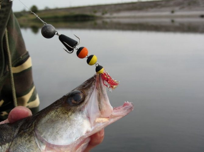 На мандулу ловится крупная рыба