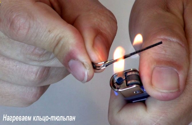 Нагревание тюльпана