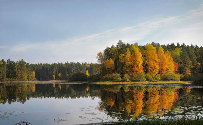 Осень на реке со спиннингом