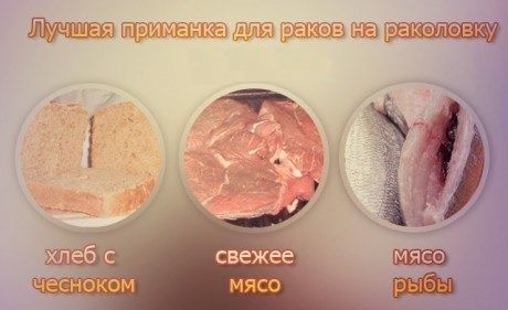 Приманка для раков