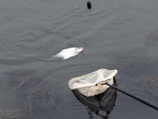 Рыбалка в декабре по открытой воде