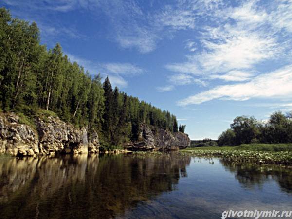 Рыбалка-в-Республике-Коми-и-её-особенности-3