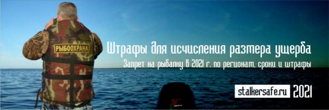 Штрафы для исчисления размера ущерба