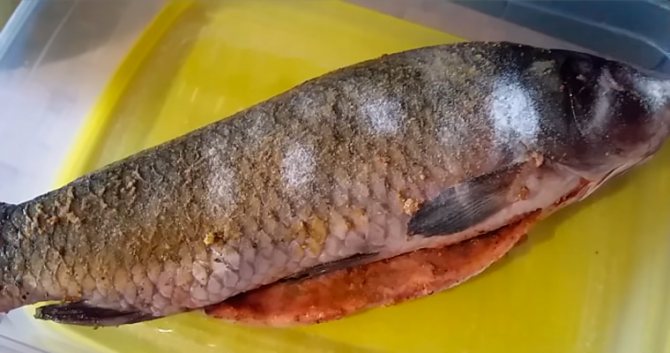 Сухая засолка карпа