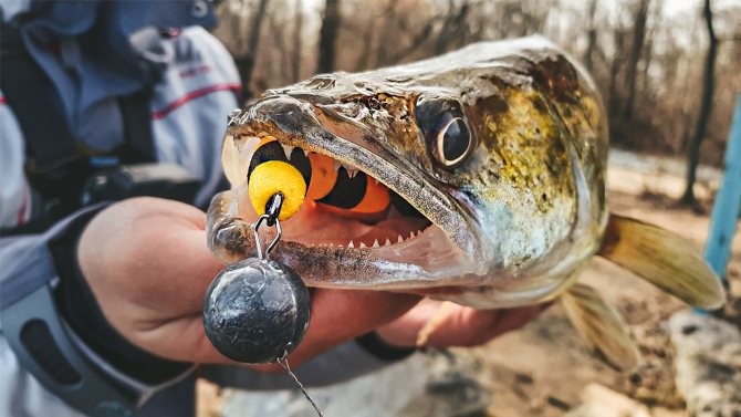 техника ловли